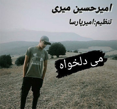 امیرحسین میری می دلخواه